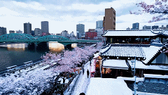 tokyo-in-the-snow